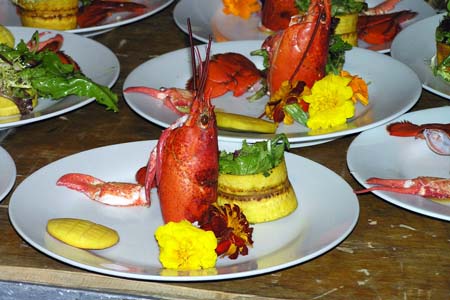 Maine Lobster Salad with Mango, Edible Flowers, Mariquita Ring, Mix Green and Passion Fruit Vinaigrette